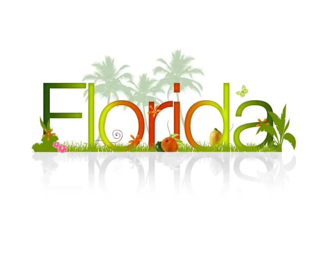 florida-hotels-floridaing