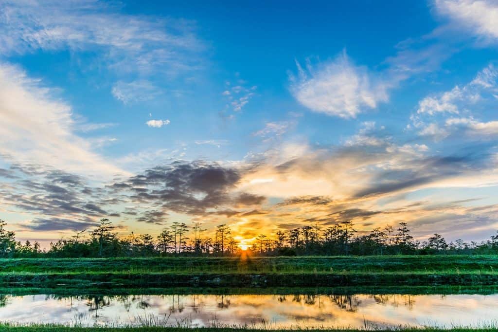 An-Incomplete-List-of-the-Best-Things-to-Do-in-Florida-Everglades-Florida