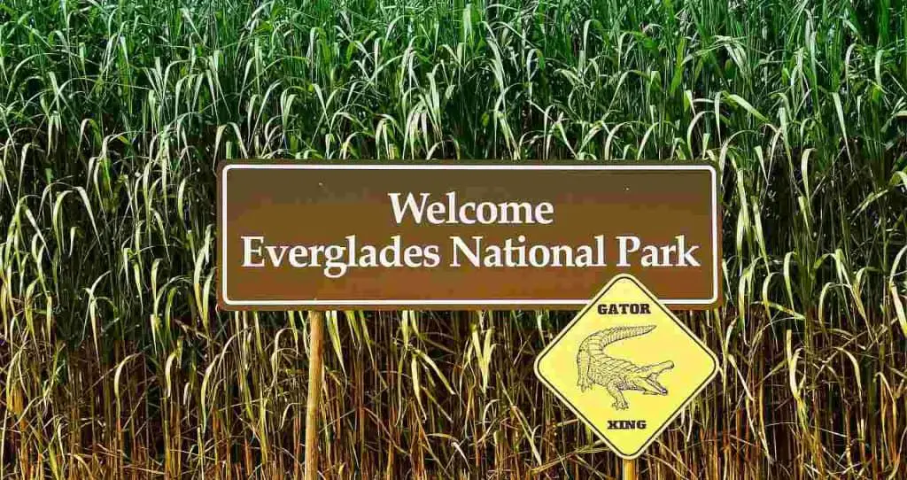 An-Incomplete-List-of-the-Best-Things-to-Do-in-Florida-Everglades-National-Park