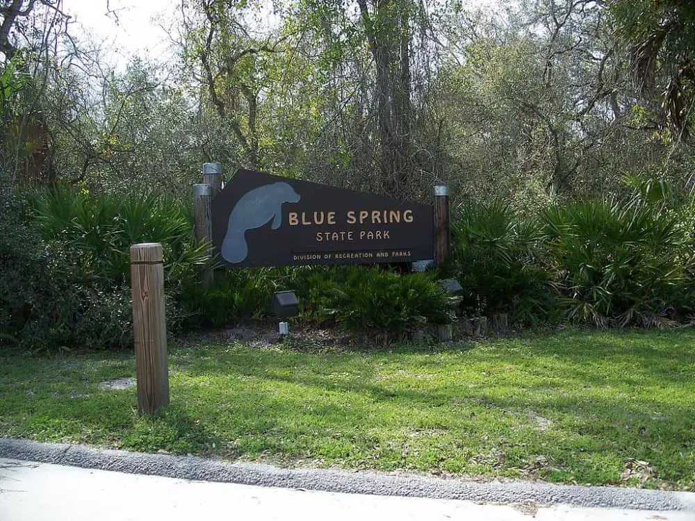 Blue Spring State Park_natural springs in florida