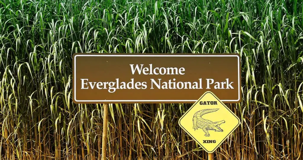 An-Incomplete-List-of-the-Best-Things-to-Do-in-Florida-Everglades