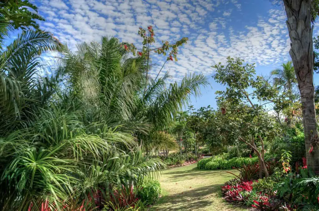 An-Incomplete-List-of-the-Best-Things-to-Do-in-Florida-Naples-Botanical-Garden