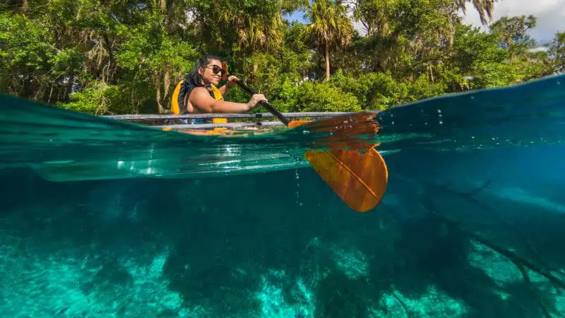 activities to do at gilchrist blue springs state park