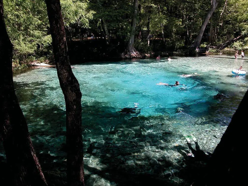 Ginnie springs best things to do in Florida