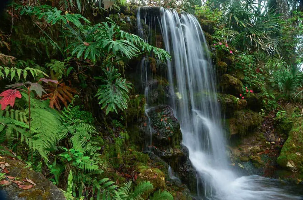 rainbow springs state park waterfalls florida