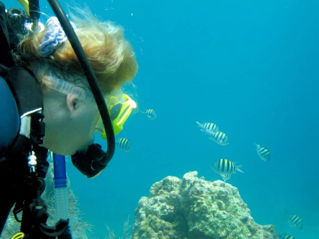 scuba diving stock island florida