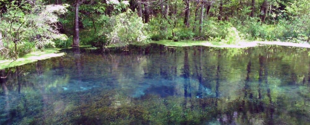 Blue Spring Recreation Area Merrits Mill Pond Florida