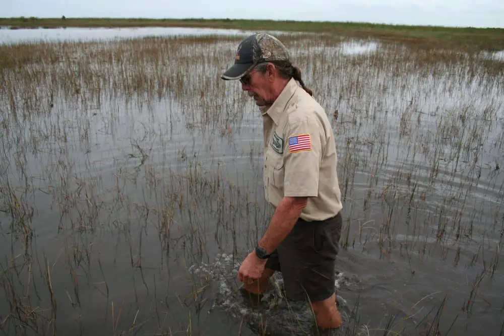 marshland in the Everglades Florida