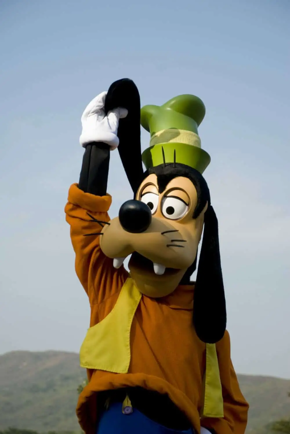 Is Goofy a Cow or a Dog Debate
