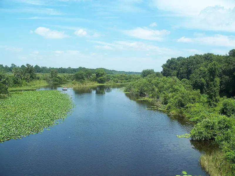Ocklawaha River, Florida stream