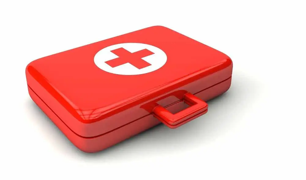 What are the five items a first aid kit should have