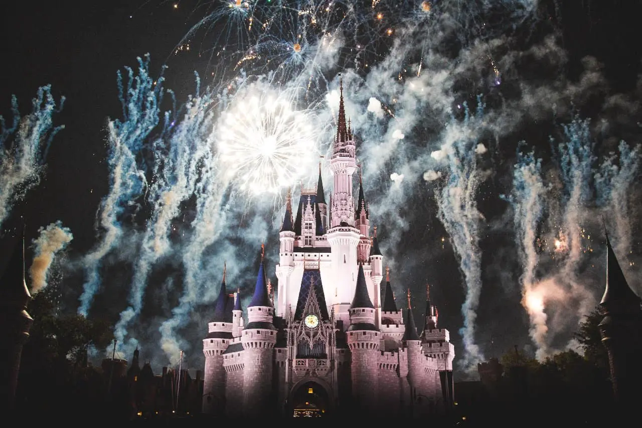 Disney World specialty cruises fireworks