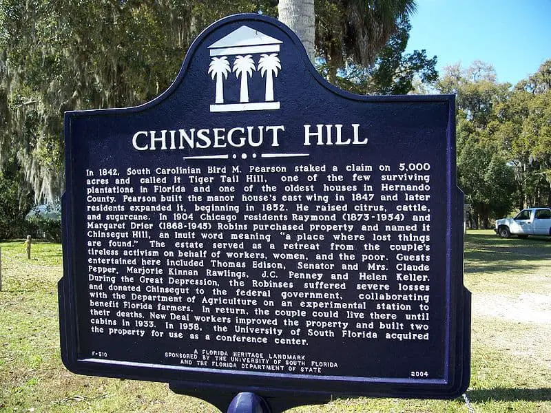 Chinsegut Hill