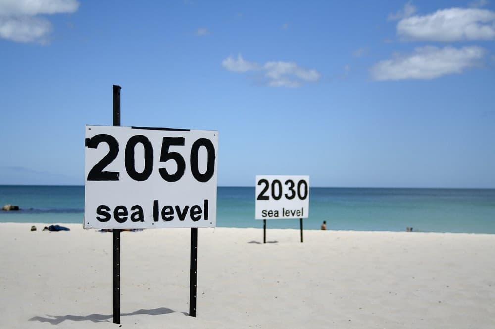 Future sea levels