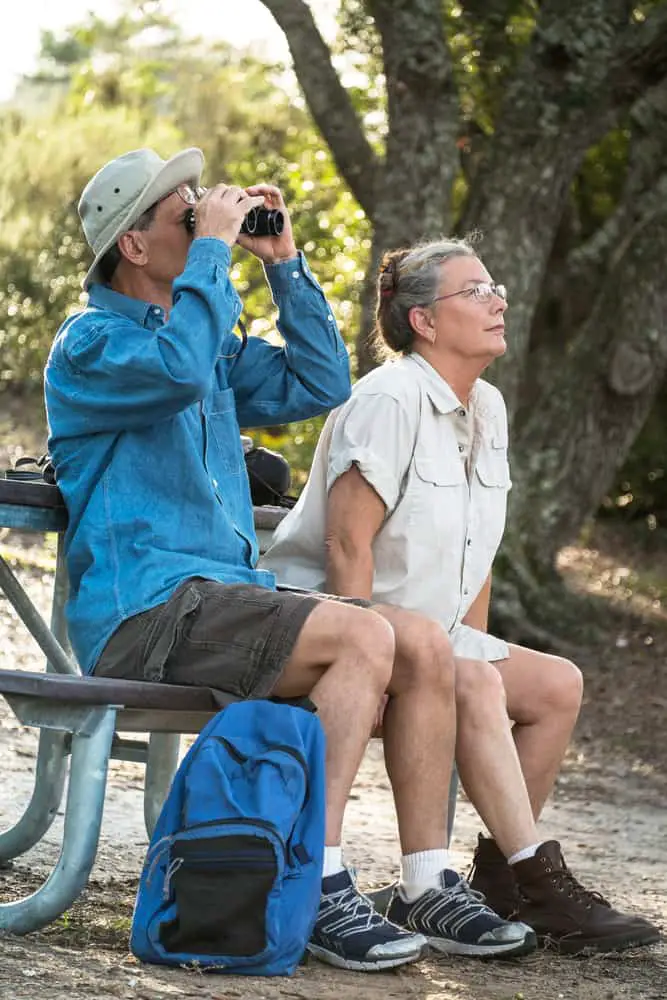 Hickory Mound Florida bird watching