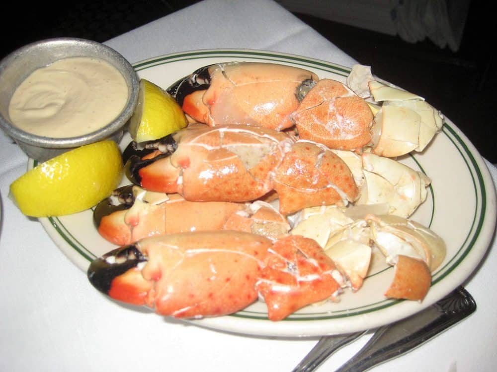 Stone Crab Claws in Ruskin Florida