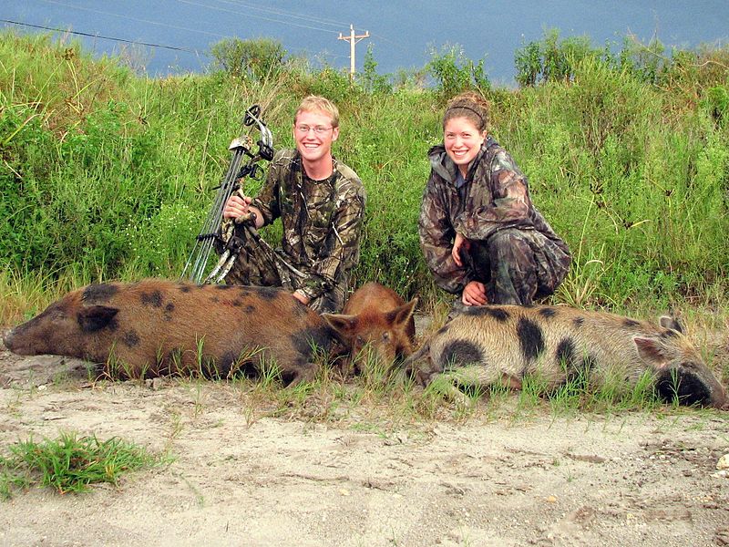 Florida Hog Hunting