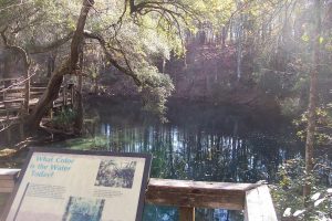 Leon Sinks Geological Area - I'll Give You the Truth - Floridaing