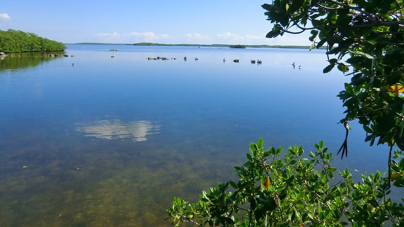 Key Largo Nature Preserve