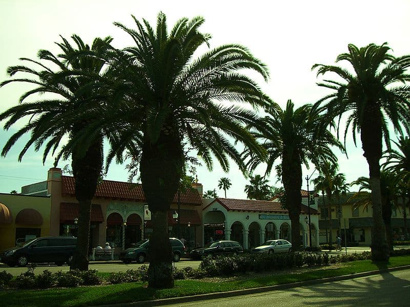 Restaurants In Venice Florida