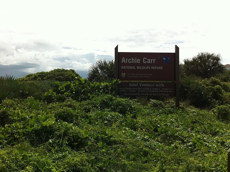 Archie Carr National Wildlife Refuge