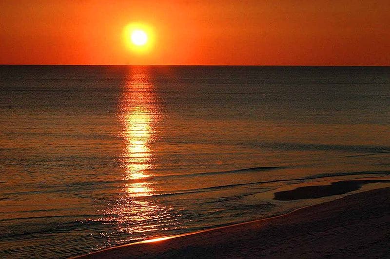 Cool Things to Do on the Gulf Coast of Florida