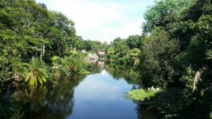 Saltwater Rivers in Florida