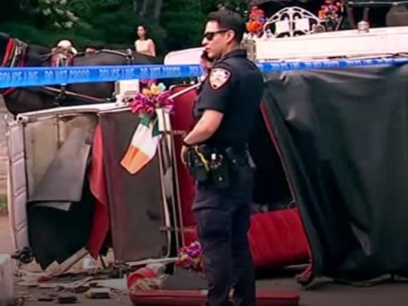 18-Year-Old Dies After Being Thrown From Horse-Drawn Carriage When Horse Bolts in New York City’s Central Park