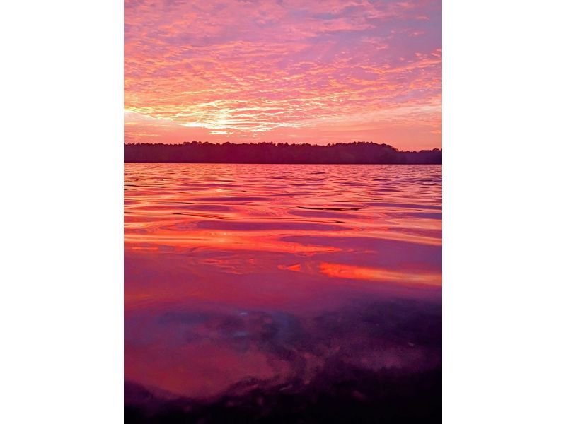 Breathtaking Pink and Purple Sunset Over Cox Creek in Leola, Arkansas Captured in Stunning Viewer Photo