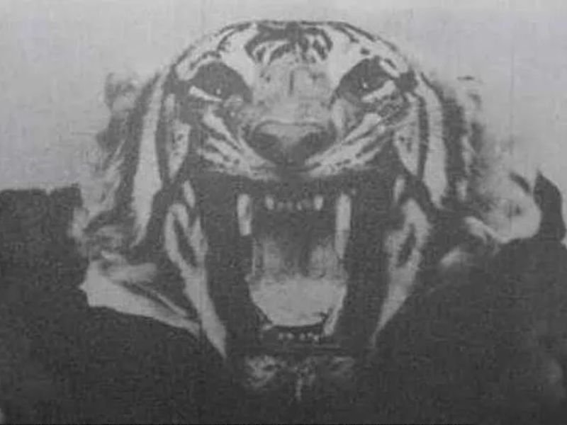 The Champawat Tiger: How a Wounded Tigress Became History’s Deadliest Man-Eater and Met Her Match in Jim Corbett