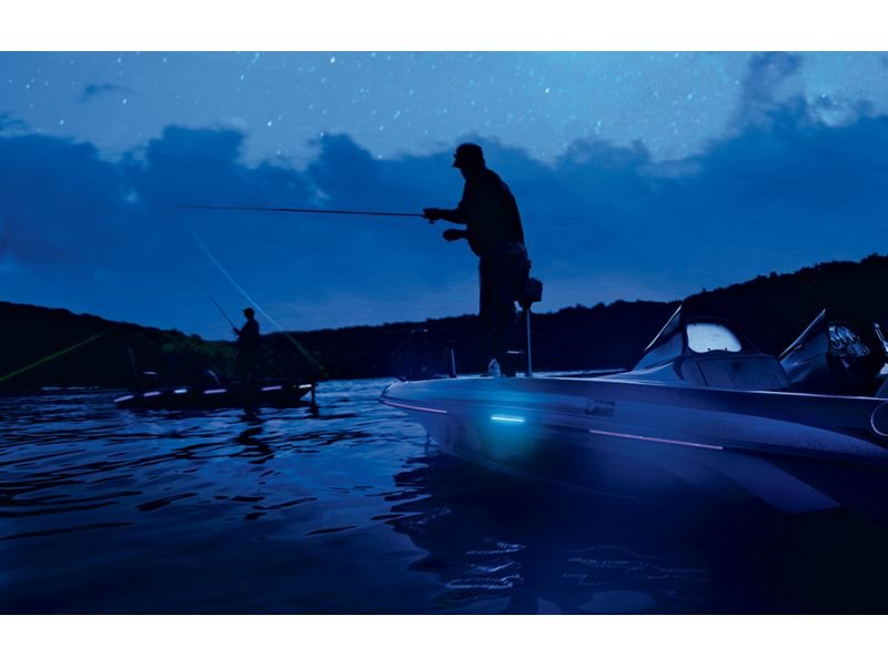 Three Bass Fishing Experts Share Their Secrets for Catching Bigger Fish After Dark